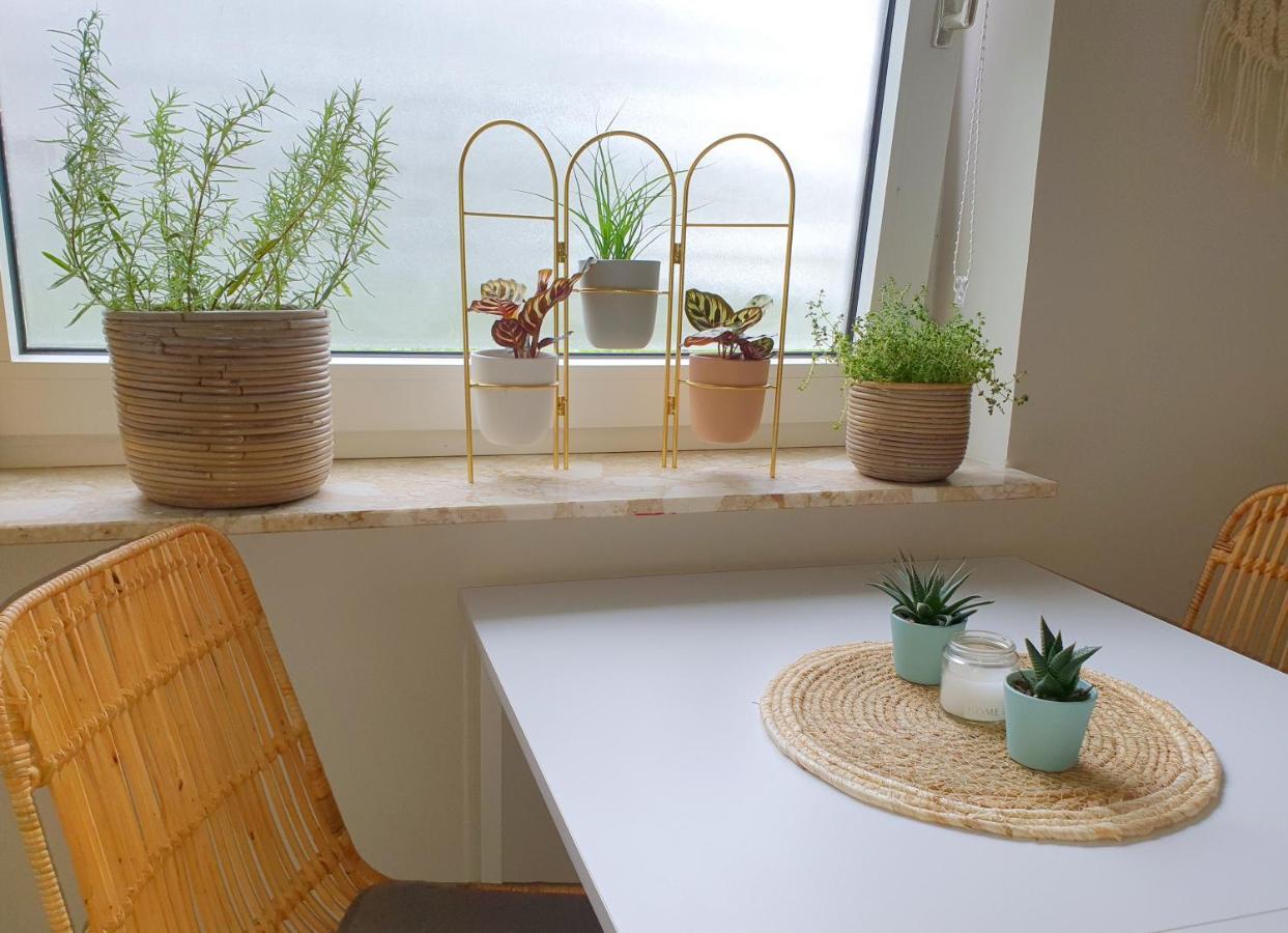 Boho Apartment Oldenburg Buitenkant foto